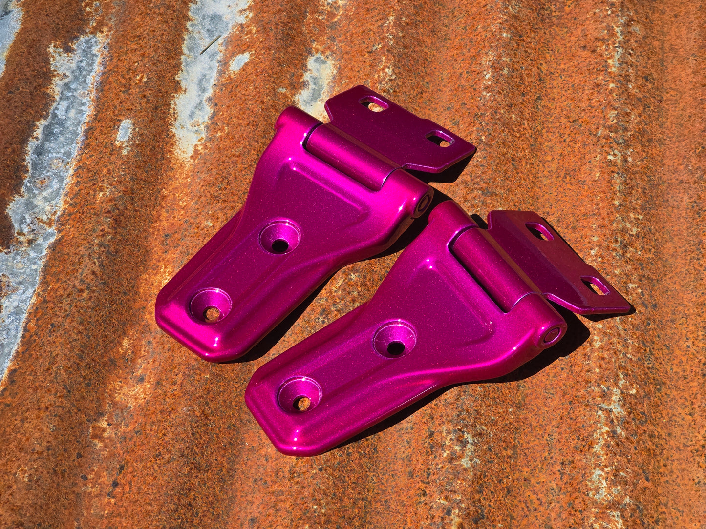 Jeep JL Powder Coated Hood Hinges